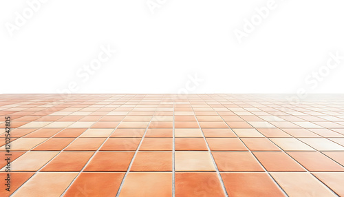 orange tile floor isolated on transparent background cutout