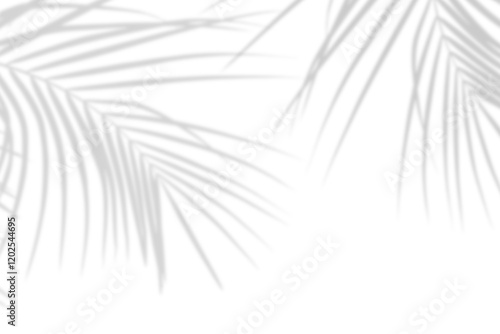 Realistic palm leaf shadow overlay effect isolated on white background, Natural shadow of tropical palm branch. Mockup of transparent shadow for product presentation, backdrop, Design elements, PNG
