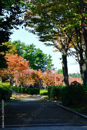 西大畑公園（新潟県）