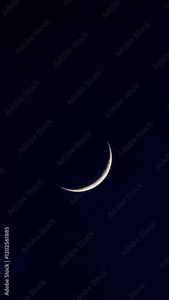 Obraz premium moon in the sky