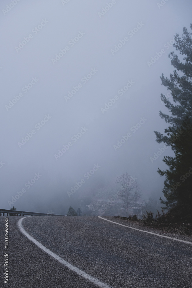 Naklejka premium The road through the foggy forest
