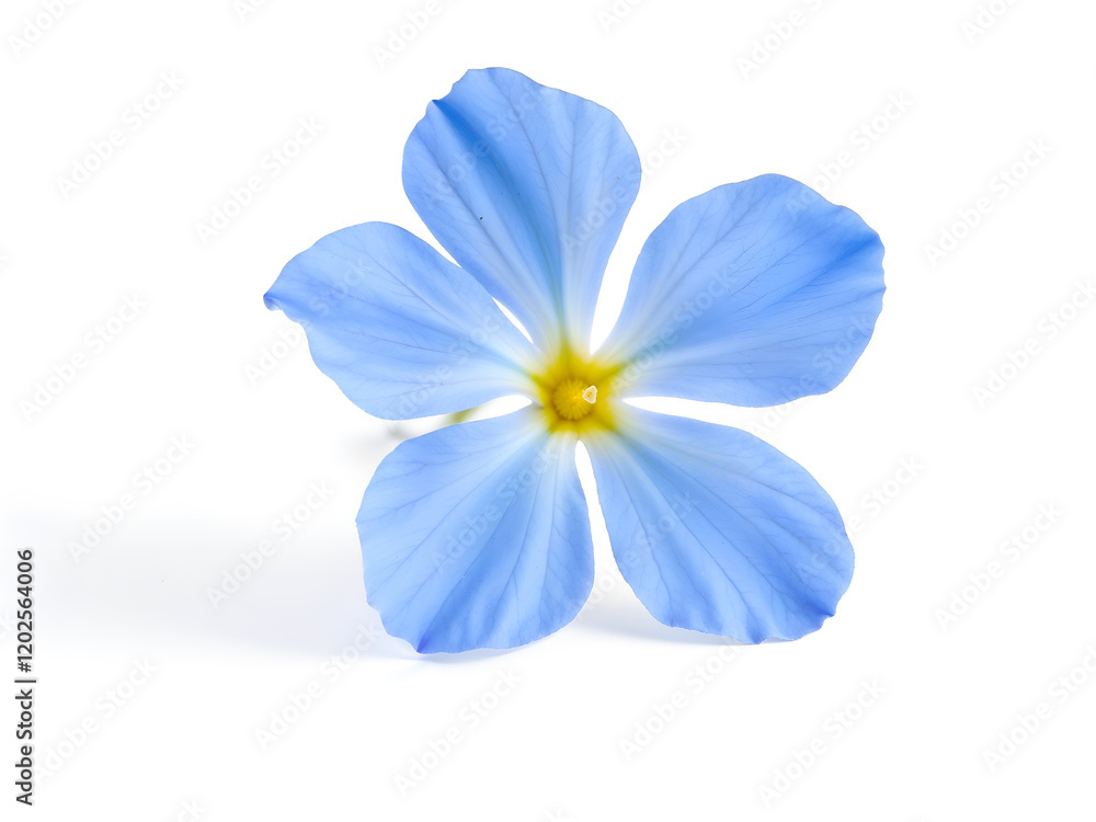 Delicate blue flower on a white background, perfect for floral themes or minimalistic designs isolated on white background. Generative AI Delicate blue flower on a white background, perfect for floral themes or minimalistic designs isolated on white background. Generative AI