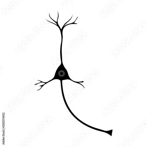 cortical interneuron glyph icon