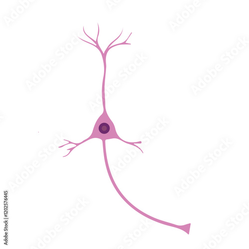 cortical interneuron colored icon