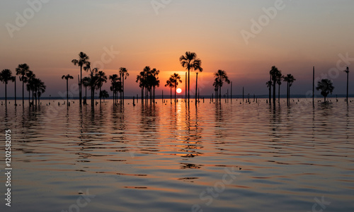 Rio Tocantins, Palmas