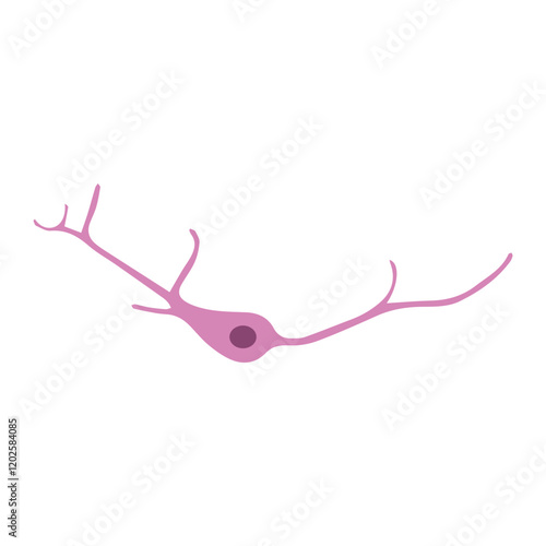 cortical neuron colored
