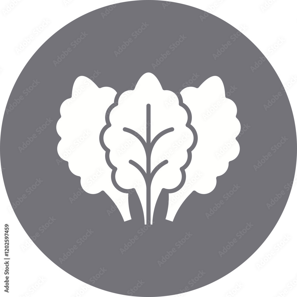 Lettuce icon single vector illustration Lettuce icon single vector illustration