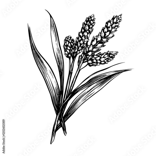 Delicate wheat stalks entwined with slender green leaves display nature's artistry in a vintage-inspired illustration