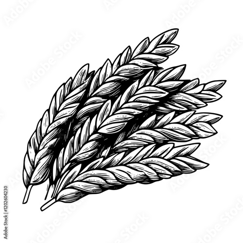 Delicate interplay of wheat stalks beautifully arranged to evoke thoughts of harvest and nature's bounty
