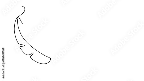 Bird feather, animated self drawing of single continuous line, continuous contour movement, video drawing of line in 4k, abstract, concept of truth, element of wind and air, one line photo