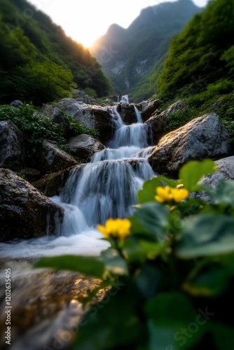 Mountain stream sunset cascade flowers nature