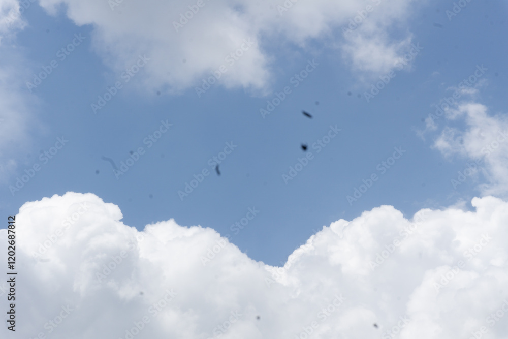 Summer blue sky cloud gradient light white background. Beauty cloud Summer blue sky cloud gradient light white background. Beauty cloud