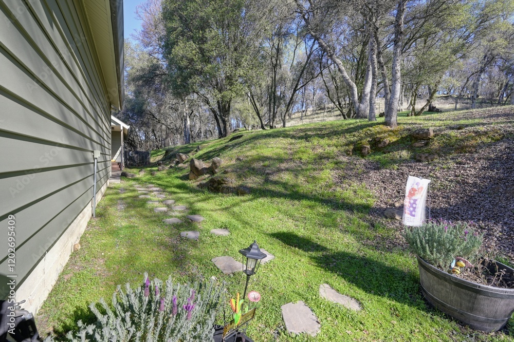 garden with flowers