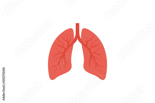 Simple Illustration of Human Lungs Anatomy. flat style illustration vector