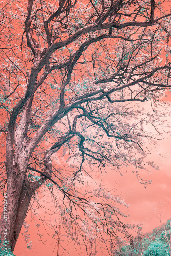 An infrared style, a tree with a complex network of branches, some adorned with blossoms An infrared style, a tree with a complex network of branches, some adorned with blossoms