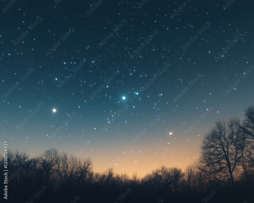 Night Sky with Stars and Bare Trees Silhouette, Twilight Gradient Landscape Night Sky with Stars and Bare Trees Silhouette, Twilight Gradient Landscape