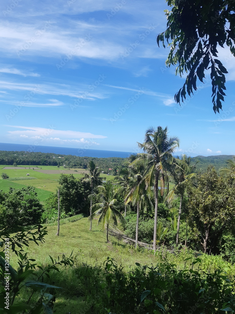 Obraz premium A day in a farm