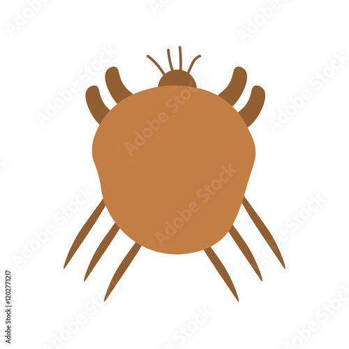 sarcoptes scabiei

