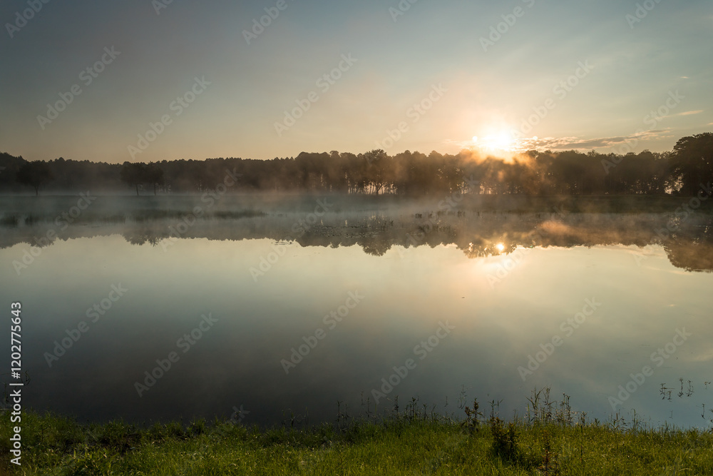 Obraz premium Wschód słońca nad leśnym stawem