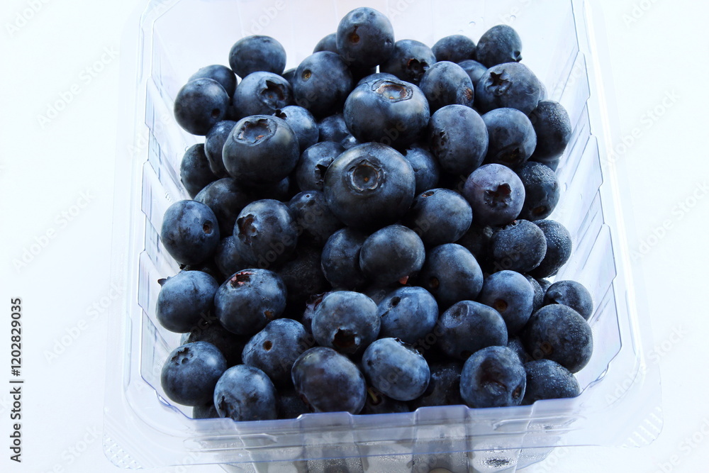fresh blueberries or bilberry fruit isolated on white background,copy space,top view fresh blueberries or bilberry fruit isolated on white background,copy space,top view