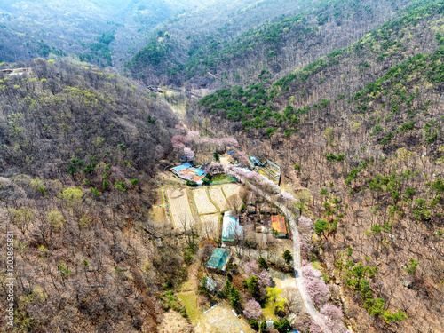 도로,주택,논밭,산,시골,신창리,서산시,충남 photo