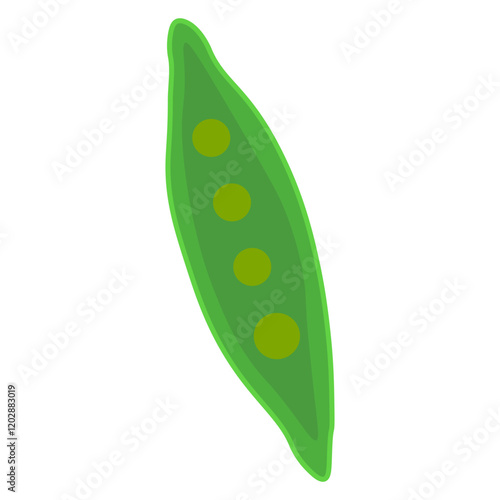 navicula sp