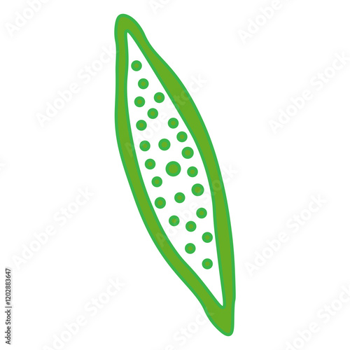 nitzschia palea