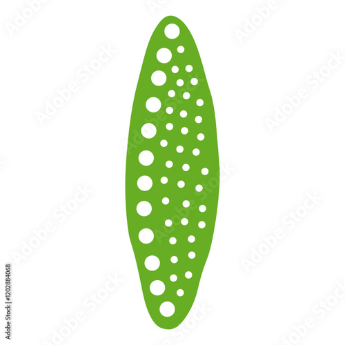 nitzschia palea