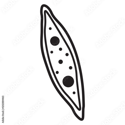 navicula sp line icon