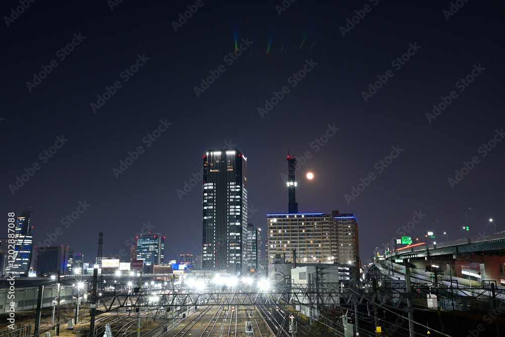 Fototapeta premium 向野橋から見た夜景