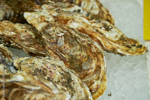 Fresh oysters at the traditional market