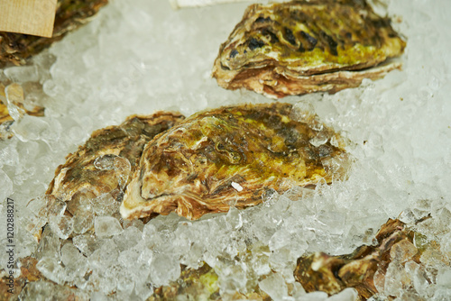 Fresh oysters at the traditional market
