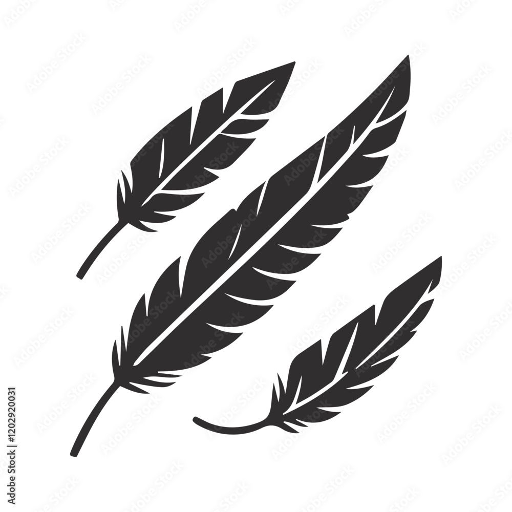Feather isolated on white background. Set of feather. Feather isolated on white background. Set of feather.