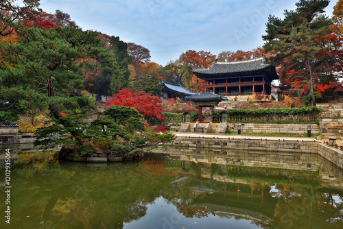 물,소나무,단풍,부용지,출입문,기와집,주합루,창덕궁,종로구,서울