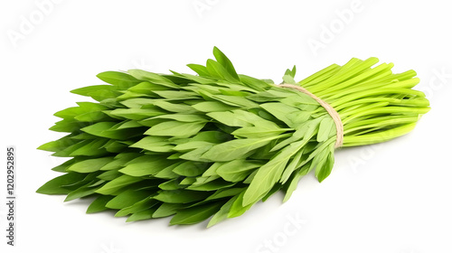 Fresh Bunch of Green Leaves...