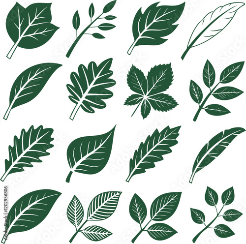 Free Vector Leaves Set Nature Illustrations for Design