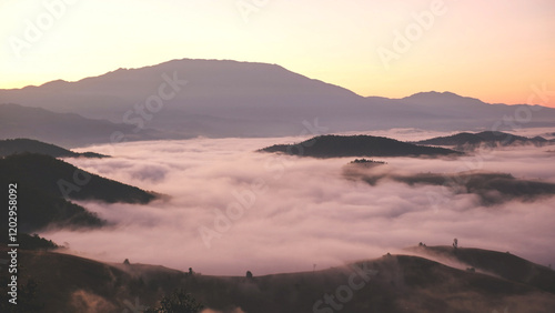 Landscape view of the sea of fog flowing on hills at dawn