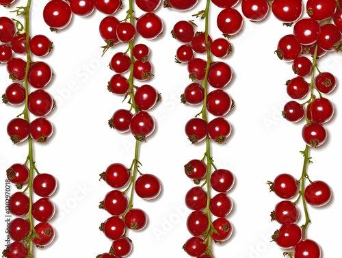 Red Currant Berries Hanging...