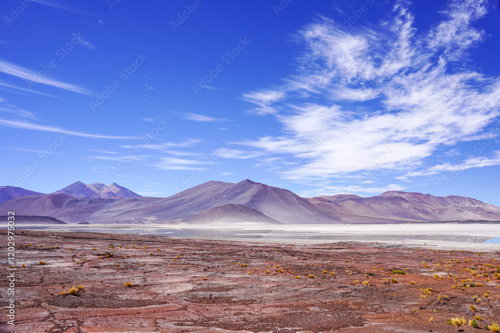 Obraz premium Piedras Rojas or Red Rocks, San Pedro de Atacama, Chile
