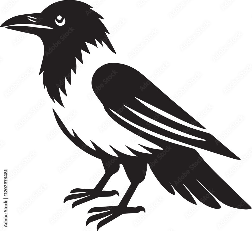 Obraz premium Crow vector illustration in black and white