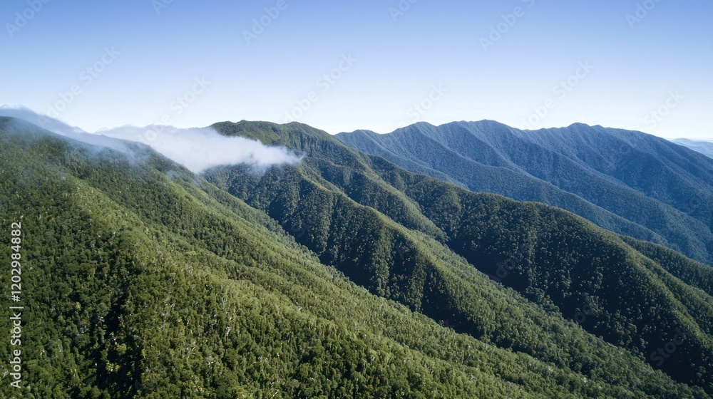 Naklejka premium Misty Mountain Forest Landscape