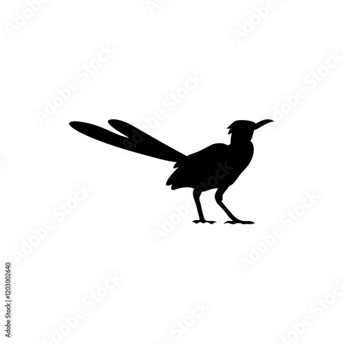 Roadrunner bird silhouette  photo