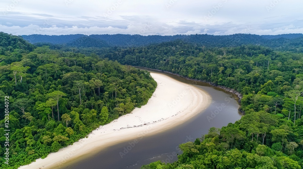 Aerial view of Amazon rainforest river Aerial view of Amazon rainforest river