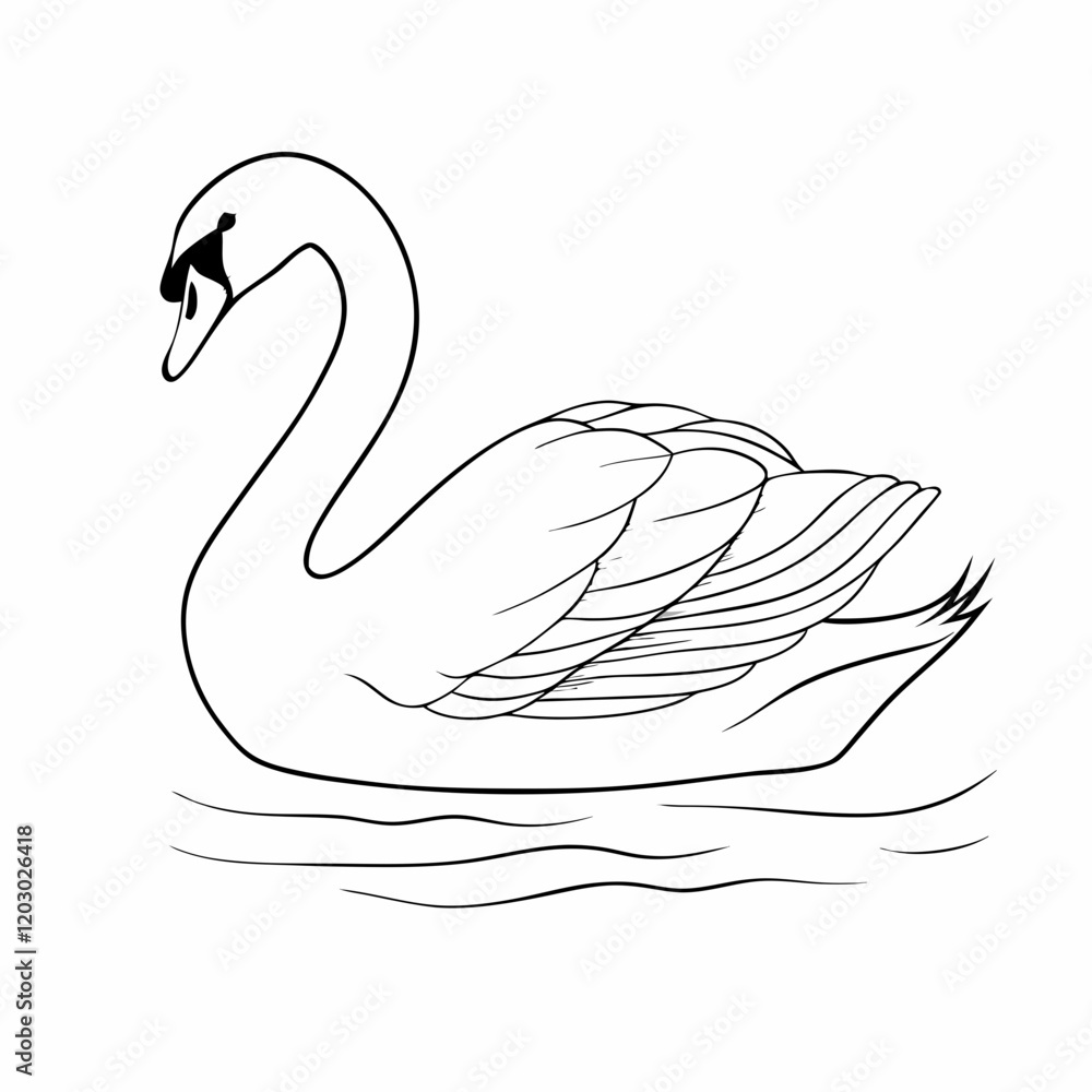 A swan is swimming in the water. The swan is white and has a black beak A swan is swimming in the water. The swan is white and has a black beak