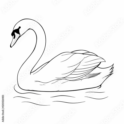 A swan is swimming in the water. The swan is white and has a black beak