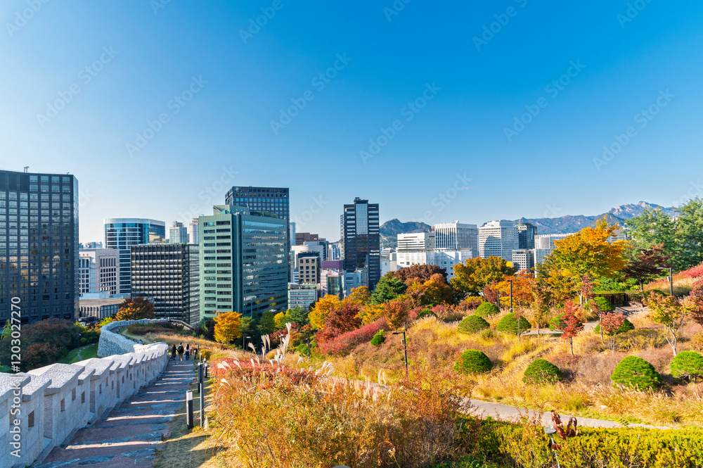 autumn maple forest with Fortress wall of Seoul city leading up to Namsan Baekbeom Plaza with autumn colorful park, Seoul, South Korea in autumn season