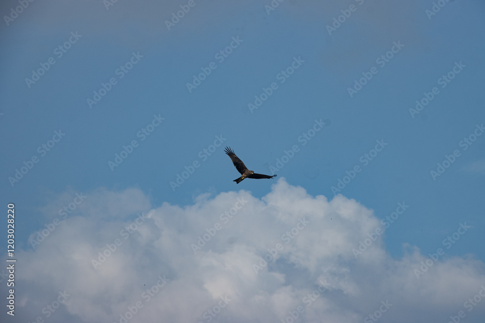 The sky is an unobstructed view upward from the surface of the Earth. It includes the atmosphere and outer space The sky is an unobstructed view upward from the surface of the Earth. It includes the atmosphere and outer space