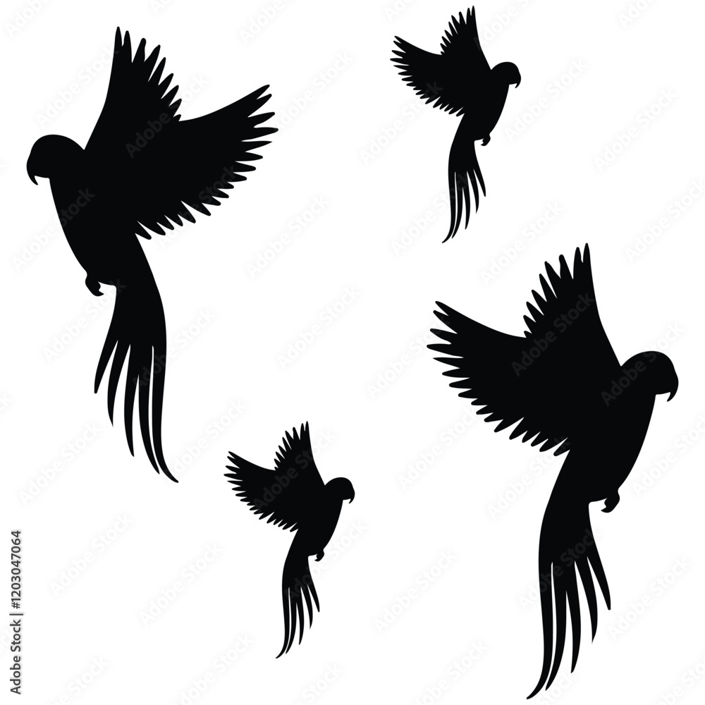 Obraz premium Cockatiel Silhouette, Cockatiel Vector Silhouette, Cockatiel cartoon Silhouette, Cockatiel illustration, Cockatiel icon Silhouette, Cockatiel Silhouette illustration