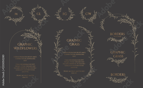 Graphic wildflowers and flowering grass. Сollection of frames, borders, monograms.