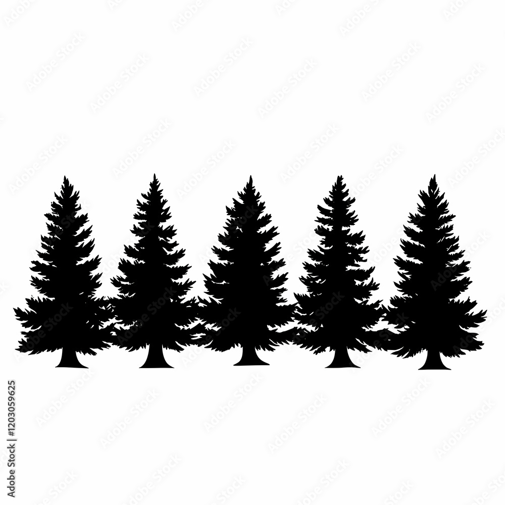 Pine Tree Silhouettes Illustration Pine Tree Silhouettes Illustration